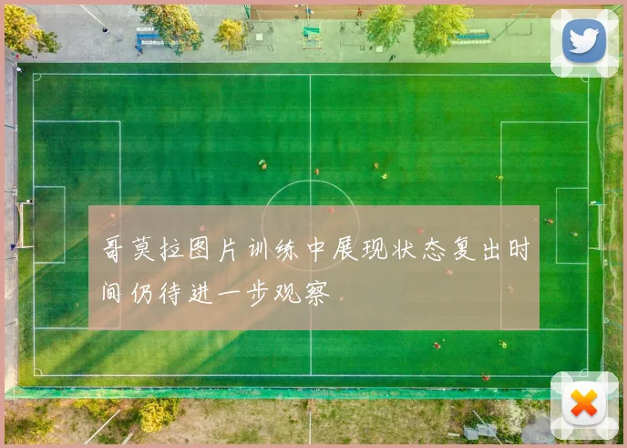 哥莫拉图片训练中展现状态复出时间仍待进一步观察