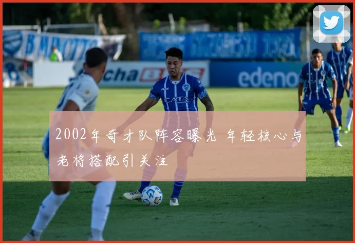 2002年奇才队阵容曝光 年轻核心与老将搭配引关注