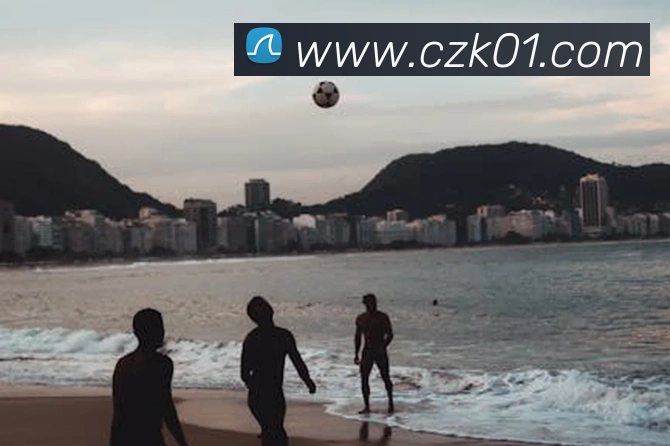 数据防护可视化