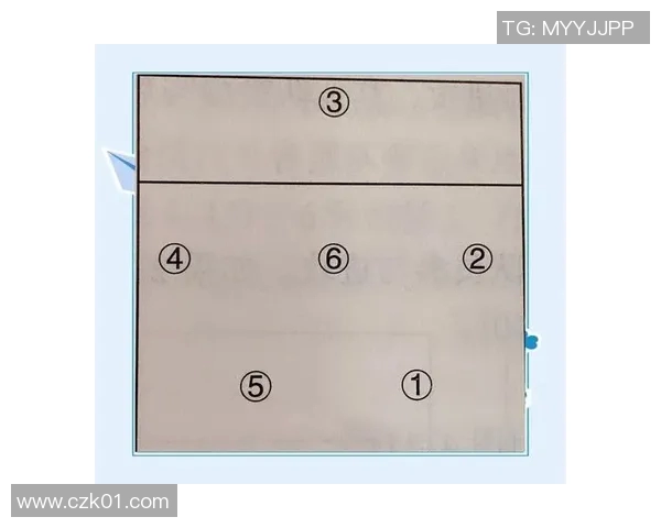 南京排球队反击战术揭秘深度解析排球竞技中的策略与技巧 南京排球队反击战术揭秘深度解析排球竞技中的策略与技巧