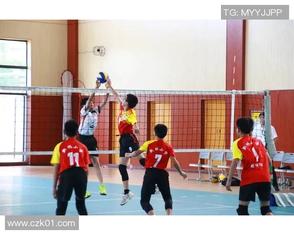 重庆排球队在钻石联赛中的个人能力表现分析与点评