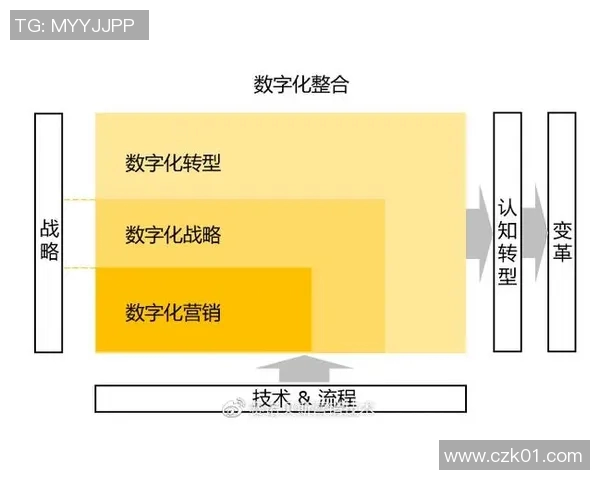上海篮球队运营革新探索:从管理模式到市场推广的全方位转型之路 上海篮球队运营革新探索:从管理模式到市场推广的全方位转型之路